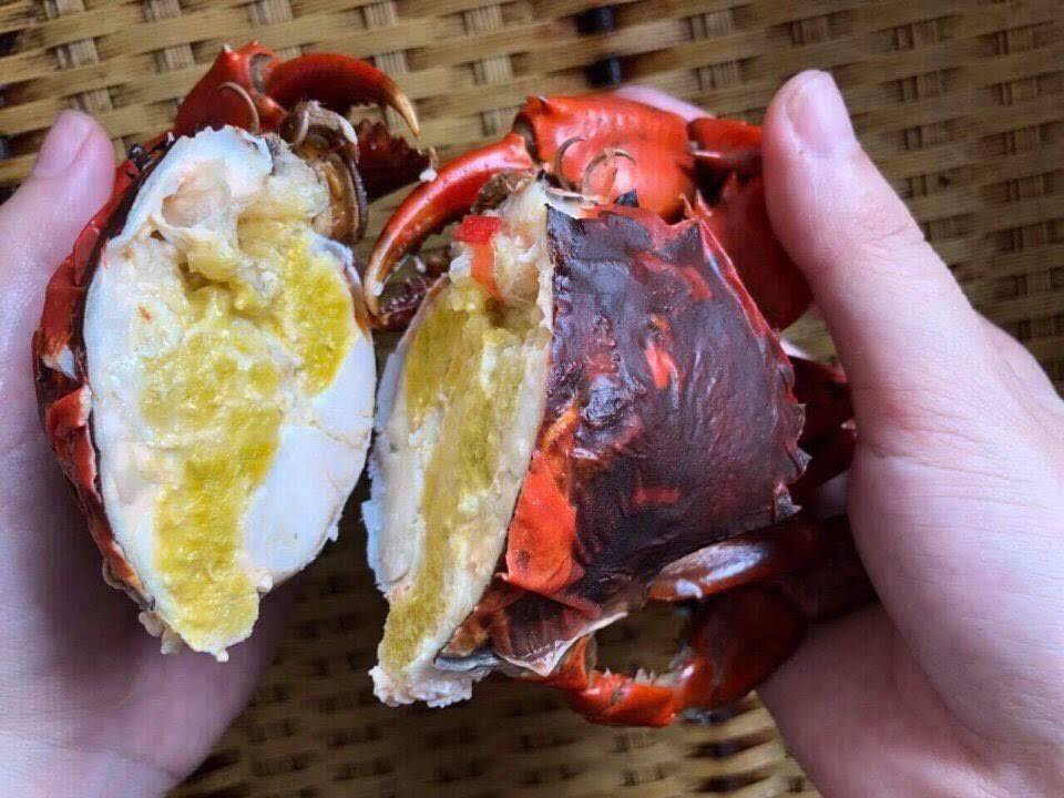 Ca Mau Crab Guide: How to Choose Fresh Live Crab