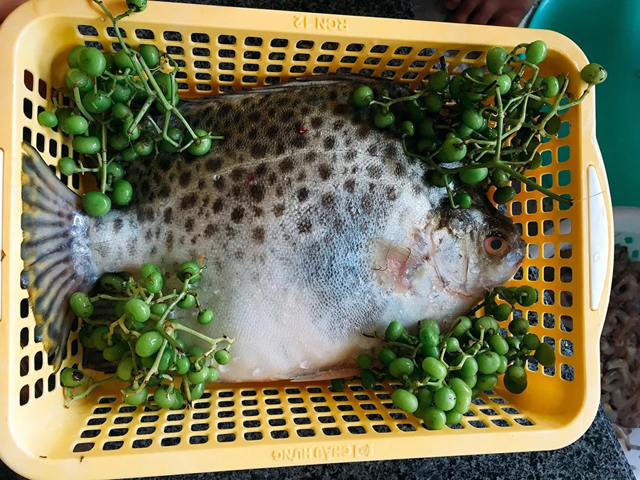 C&aacute; n&acirc;u &ndash; Đặc sản C&agrave; Mau đậm đ&agrave; hương vị miền T&acirc;y