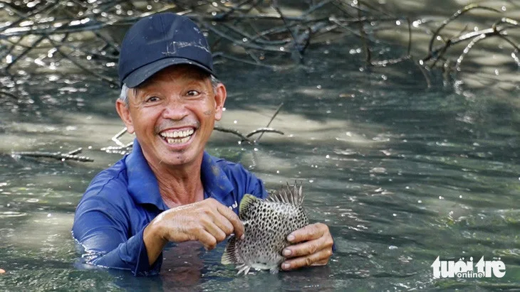 Cá nâu vuông Cà Mau tươi sống được đánh bắt từ vuông sinh thái Năm Căn