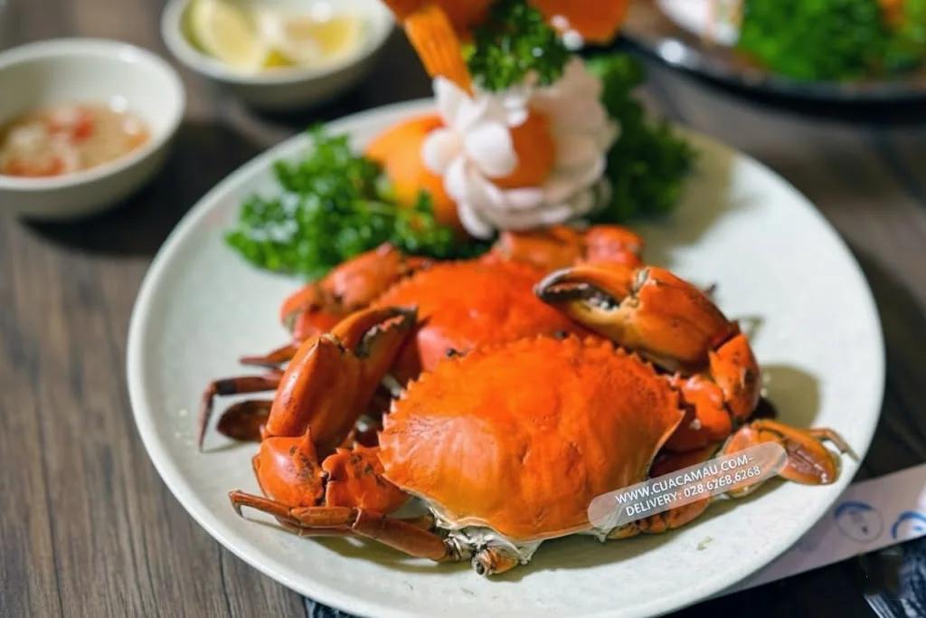 Ảnh minh họa: Thực Đơn Hồi Phục Sức Khỏe Từ Cua Cà Mau Cho Người Mới Ốm Dậy Và Sau Phẫu Thuật