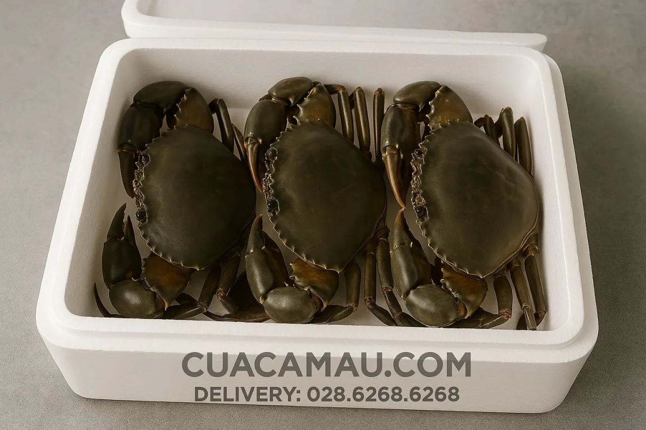 Cua Cà Mau tươi sống loại 1 tại hệ thống Cua Ngon