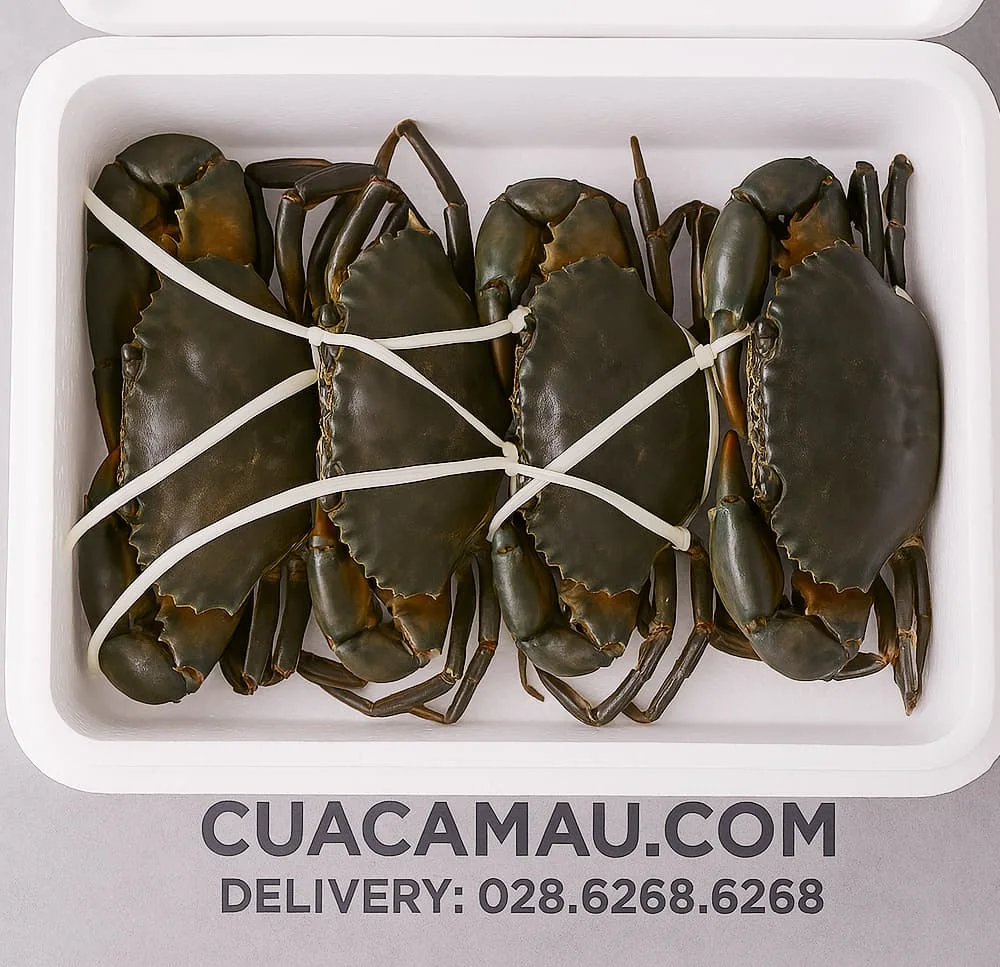 Cua thịt Cà Mau Y4 không dây trói minh bạch trọng lượng tại Cua Ngon