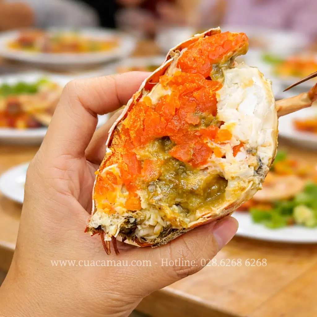 Tại Sao Cua Năm Căn C&agrave; Mau Lại Ngon Nhất Nước? Giải M&atilde; Hương Vị Đất Mũi