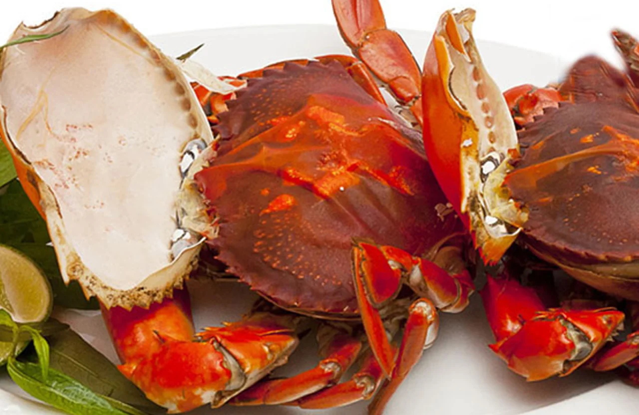 Cua Hai Da (Cua Cốm) C&agrave; Mau: Vị Ngon Đỉnh Cao Vượt Cả KingCrab