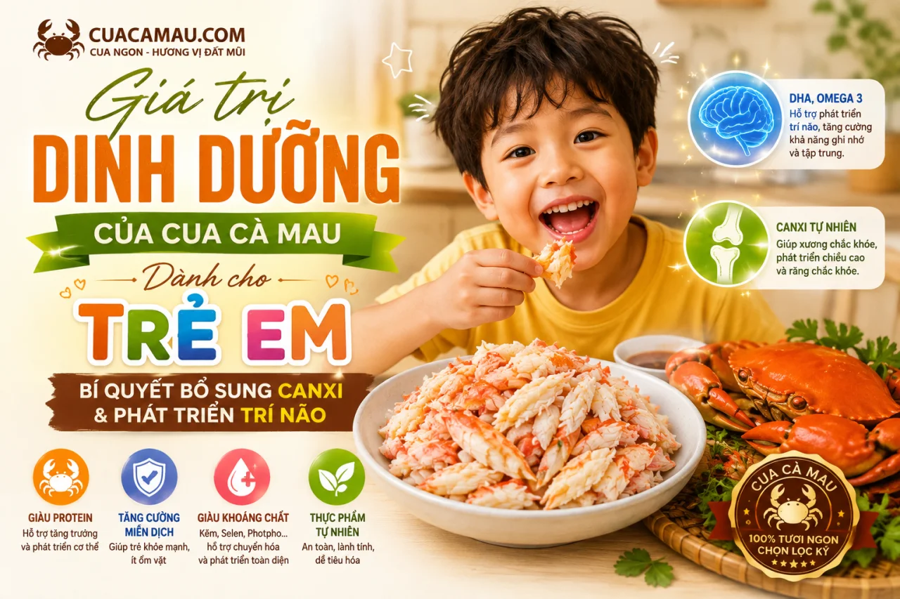 Gi&aacute; Trị Dinh Dưỡng Của Cua C&agrave; Mau D&agrave;nh Cho Trẻ Em: B&iacute; Quyết Bổ Sung Canxi V&agrave; Ph&aacute;t Triển Tr&iacute; N&atilde;o