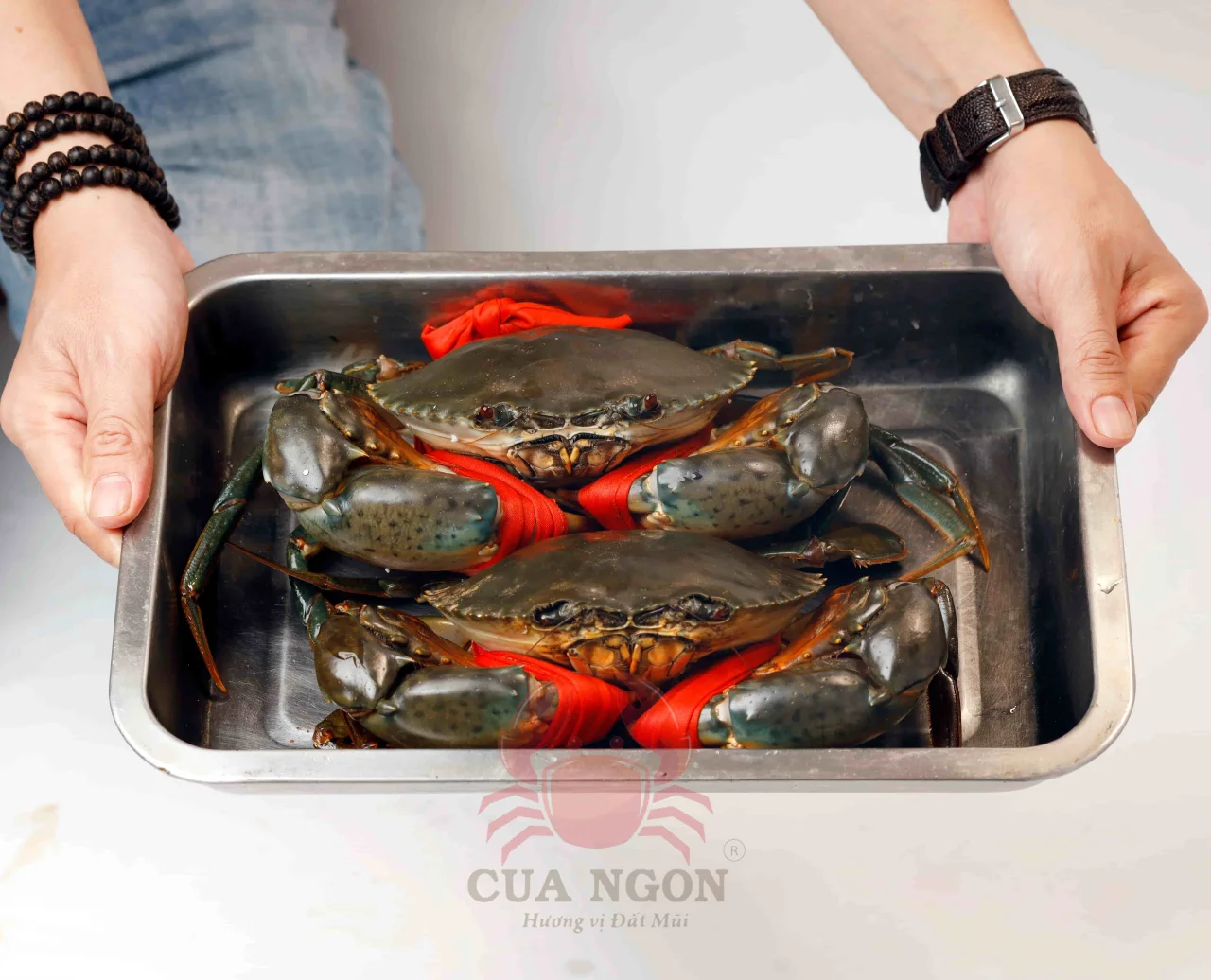 Phân loại cua Y5 Cà Mau tại cửa hàng Cua Ngon