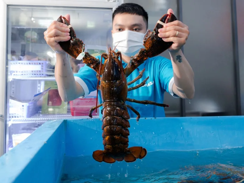Cửa hàng Đảo Hải Sản hiện đại và sang trọng