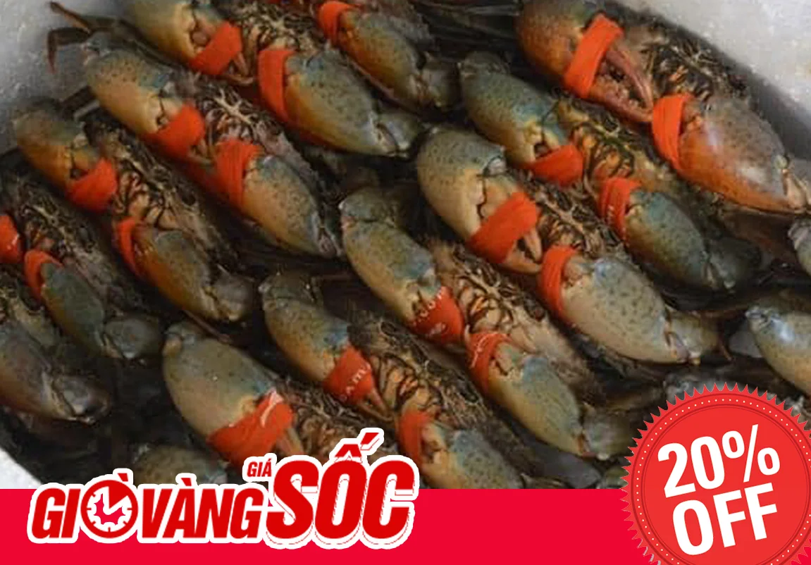 Ảnh minh họa: 10 Lý Do Lựa Chọn Nhà Hàng Đặc Sản Cua Ngon Cua Cà Mau để thưởng thức Cua