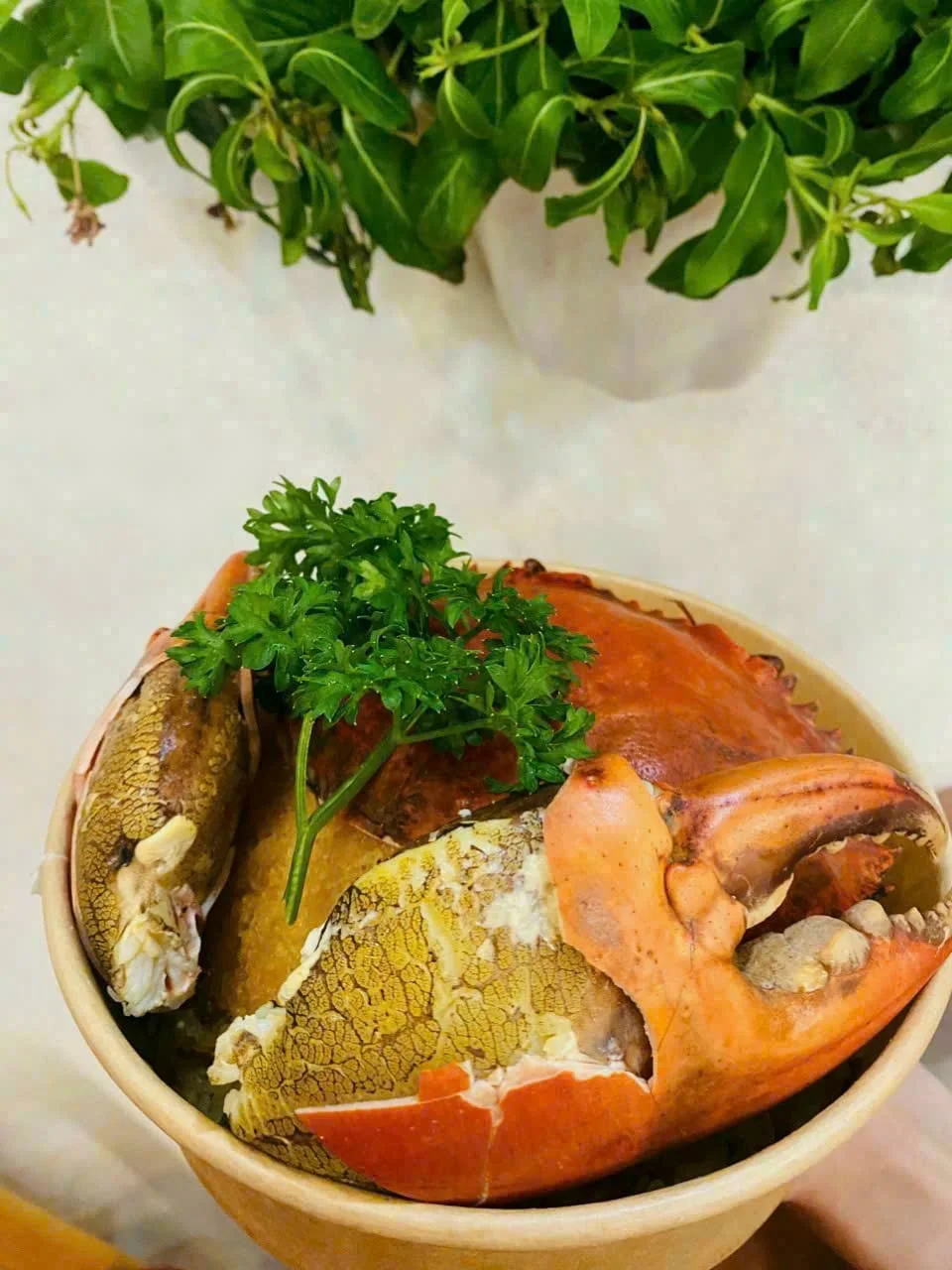 Thành phẩm đĩa xôi cua Cà Mau trình bày đẹp mắt
