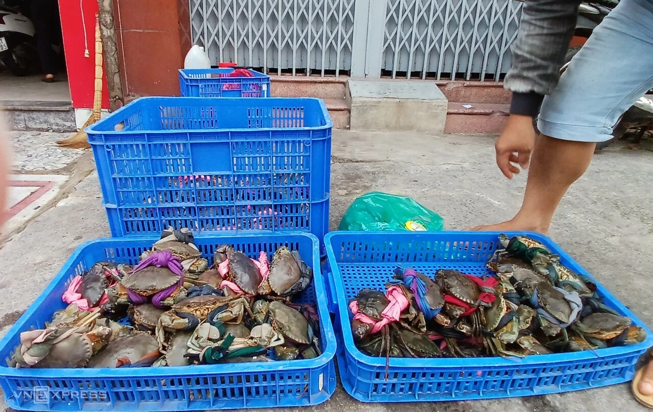 Cảnh báo bẫy cua Cà Mau giá rẻ bất thường trên mạng