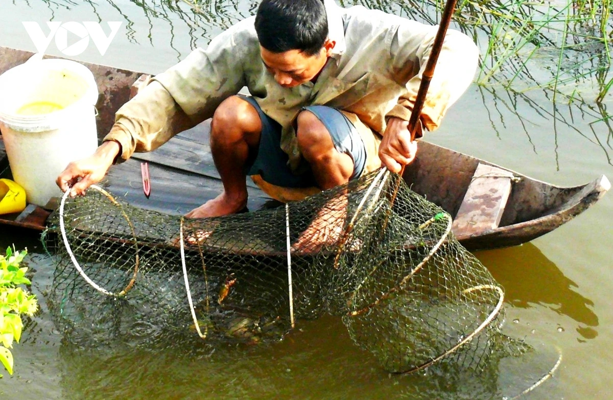 nuoi cua quang canh cuacamau.com