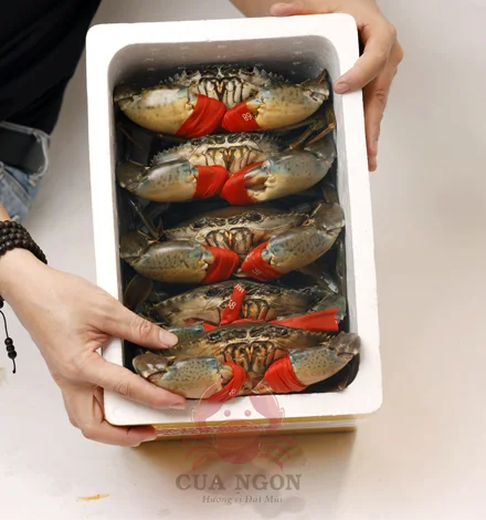 Mua Đặc Sản C&agrave; Mau Ở Đ&acirc;u? Địa Điểm Uy T&iacute;n Từ C&agrave; Mau Đến S&agrave;i G&ograve;n
