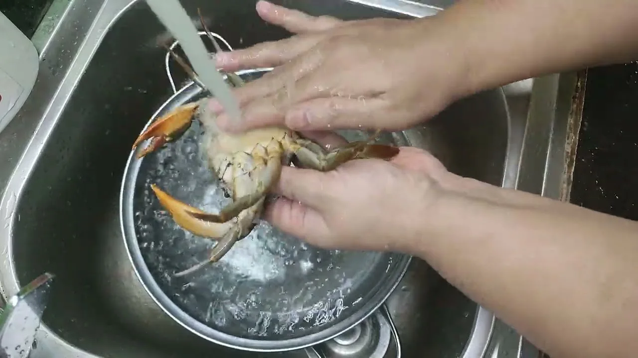Quy trình sơ chế cua Cà Mau sạch sẽ chuyên nghiệp