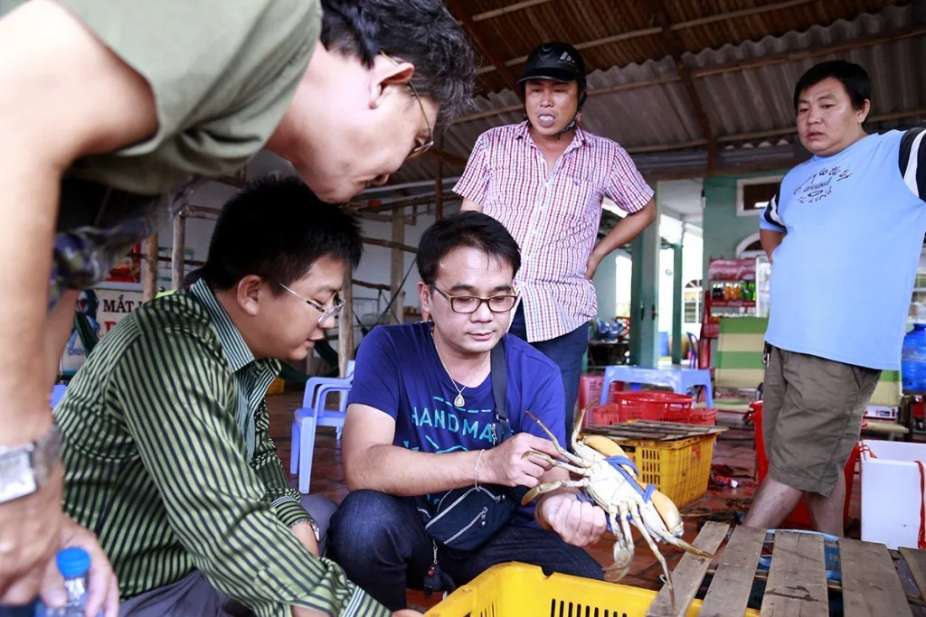 C&aacute;ch Chọn Cua C&agrave; Mau Ngon Nhất: B&iacute; Quyết Chắc Thịt, Đầy Gạch